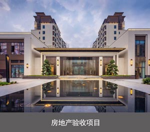 兩柱簡易升降立體車庫房地產(chǎn)驗(yàn)收項(xiàng)目